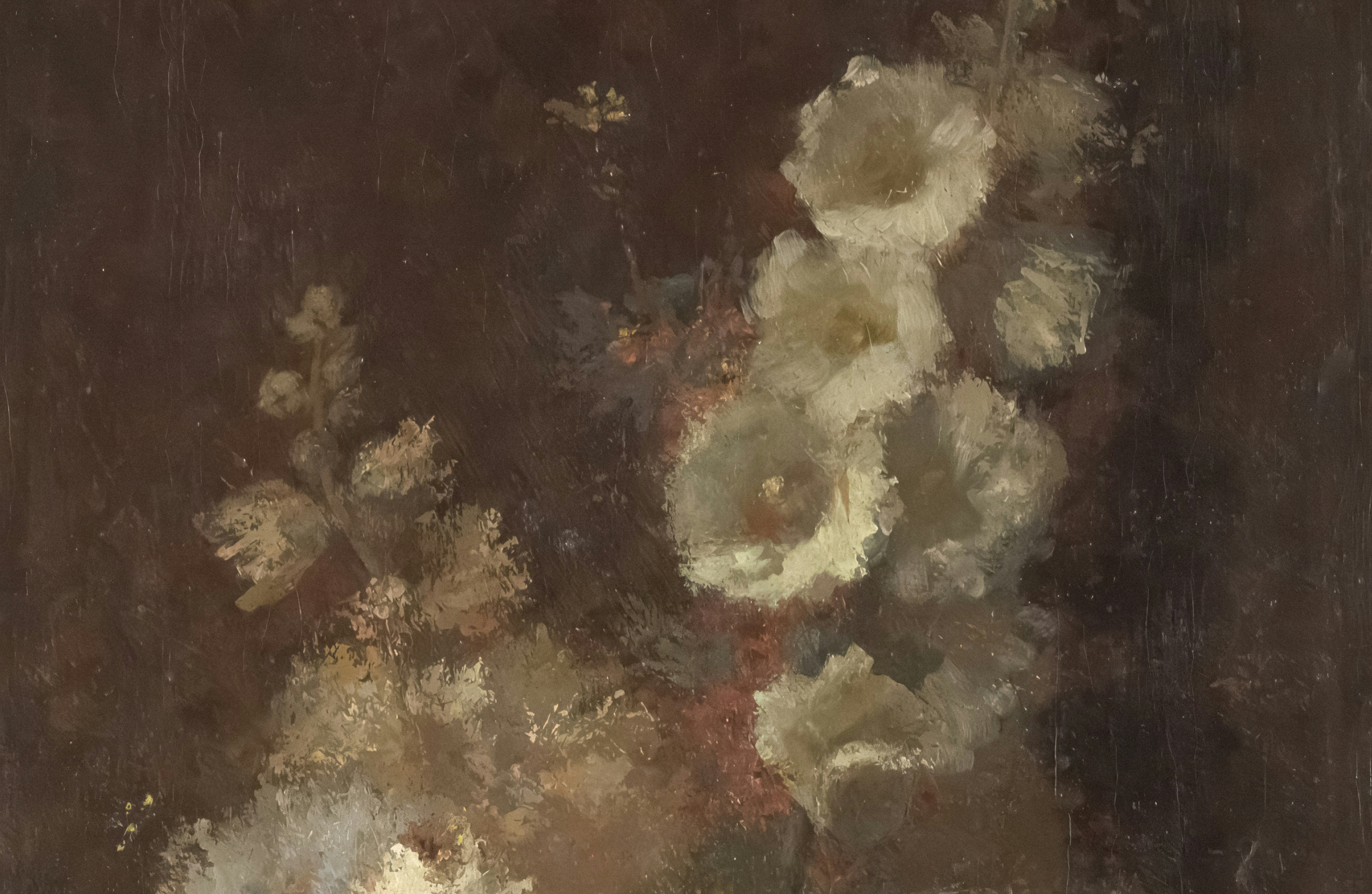 Queen Street Veterinary Service